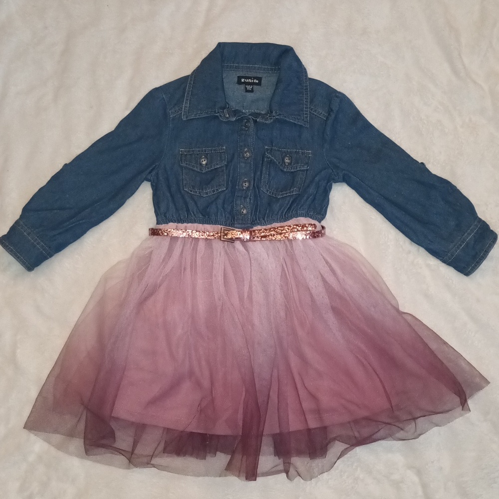 Zunie, girls, long sleeves, tulle dress.